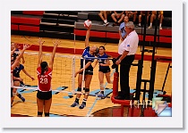 Set 2 * (198 Slides)